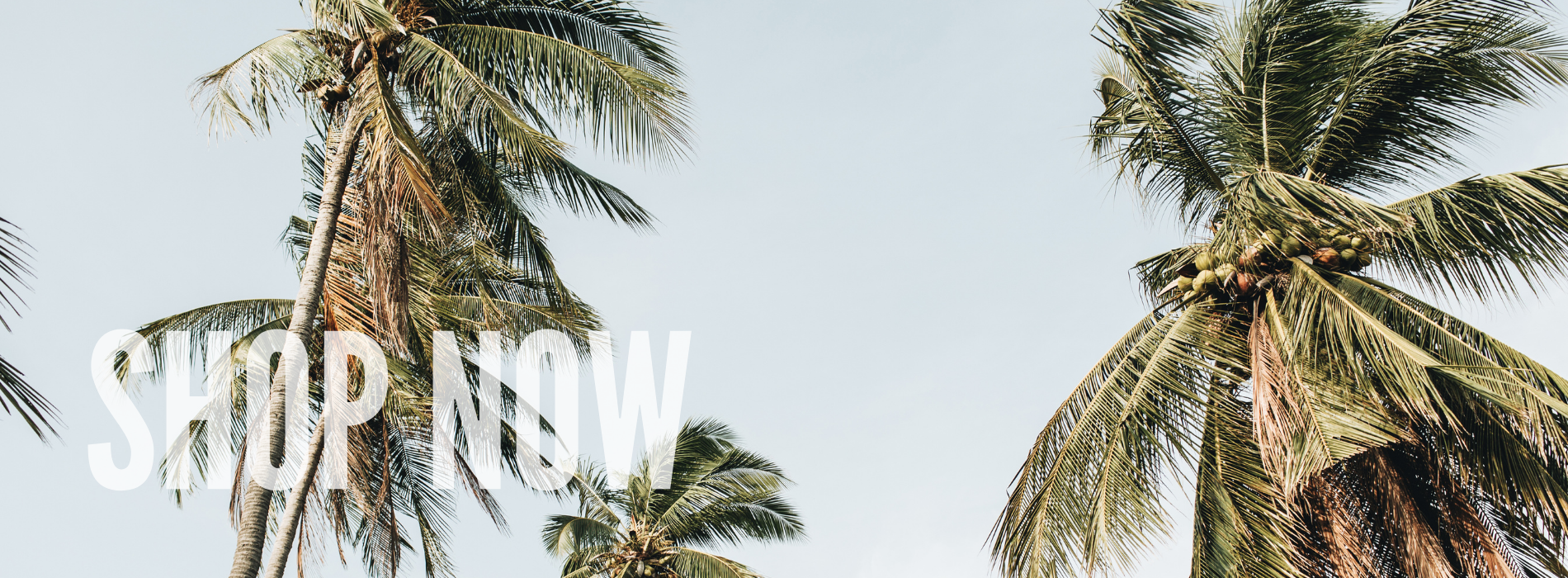 collection-banner-image